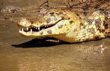 4 days 3 nights – Peruvian Tambopata Jungle