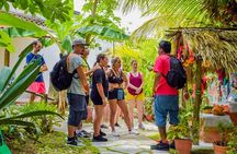 E-Bike Adventure in Cozumel - West Side Ride N' Snorkel 