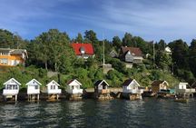 Oslo Combo Tour: Grand City Tour and Oslo Fjord Cruise