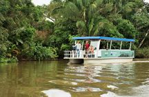 Full-Day Caño Negro Wildlife Refuge Boat Tour