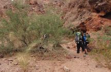 Hiking Adventure in White Rock Canyon and Desert Hot Springs