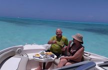 Deluxe Private Boats - 24 ft Sea Ray