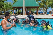 Finding Nemo - Half Day Cruise to South Sea Island