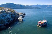 Scuba Dive Boat Charter in Vancouver (Certified Divers Only!)