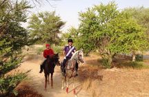 Desert Horse Riding- 1 Hour