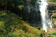 Full-Day Doi Inthanon Nature Tour from Chiang Mai