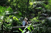 Penang Round Island Tour With Tropical Spice Garden & Entopia Butterfly Farm