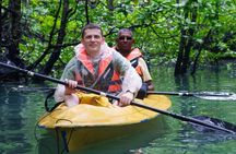Langkawi Mangrove with Kayaking Experince