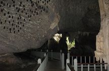 Langkawi Mangrove with Kayaking Experince