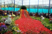 Full day private city tour of Bangalore with a professional guide