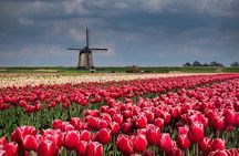 Windmills-Volendam-Giethoorn Private Tour in Jaguar