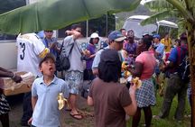 St. Lucia Land Tour to Soufriere Groups Only