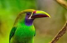 Private Full-Day Bird Watch Workshop
