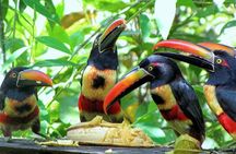 Private Full-Day Bird Watch Workshop