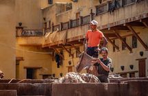 Fez Medina Half-Day Walking Tour with Local Guide