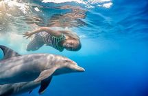 Private Speed Boat to DOLPHINS House & Water activities -HURGHADA