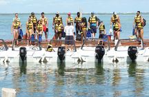 Cancun speedboat and snorkel tour: shared speedboat