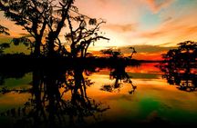 Adventure, Action and Accomodation - Quito to Amazon