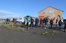 Belfast political history and mural unique private 90 min tour 
