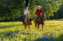 Horseback Riding on Scenic Texas Ranch near Waco