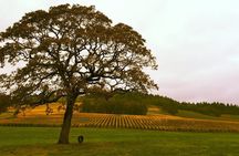 Willamette Valley Wine Tour From Portland