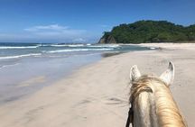 Safari & Barigona Beach on horseback