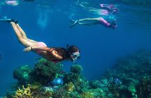 Super Saver Combo: Island & Reef Day Sail + Sunset Dinner Cruise