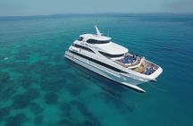 Cairns Super Saver: Reef Cruise, Daintree & Kuranda Rail/Skyrail