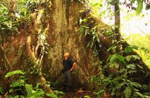 Tropical Escape: 3 Days Amazon Rainforest Tour from Quito