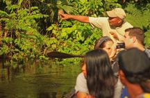 Tropical Escape: 3 Days Amazon Rainforest Tour from Quito