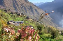 Langtang Valley Trek 