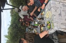 Addo Elephant Full Day Safari with a Traditional South African Braai (BBQ) Lunch