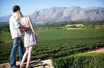 Private Full-Day Stellenbosch Wine Tour