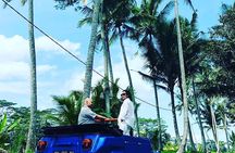 1 Hour VW Explore Ubud - Ubud VW Tour