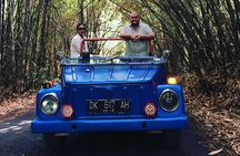1 Hour VW Explore Ubud - Ubud VW Tour