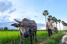 Countryside & Silk Farm Offbeat Jeep Tour 
