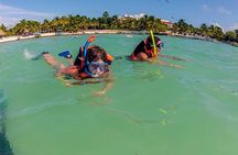 Private Tour: Akumal Marine Turtle Snorkeling and Cenote Adventure