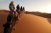 2 Days trip in a small group from FEZ to FEZ passing by MERZOUGA