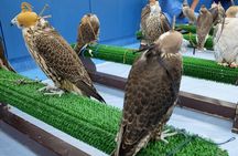 Falcon Hospital Tour Abu Dhabi
