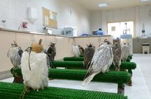 Falcon Hospital Tour Abu Dhabi