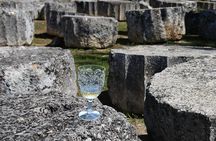 Private Luxury wine tour in Ancient Nemea and vineyards.