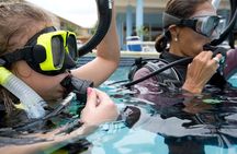 Gran Canaria Kids Underwater Adventure 