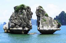 Best Premium Halong Bay Cruise from Halong International Port