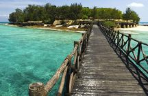 Jozani Forest & Dolphin Swimming Full day Tour - Zanzibar