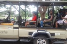 Zambezi Sunset Cruise + Game Drive Safari with hotel Pick Up