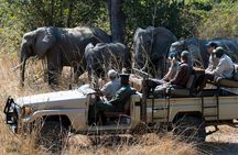 Zambezi Sunset Cruise + Game Drive Safari with hotel Pick Up