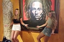 Bob Marley's Nine Mile & Dunns River Falls Tour: Transportation & Ticket 