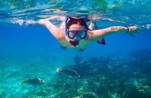 Swim & Fly Day Trip in Cancun with Transportation 