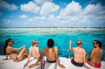 Catamaran Snorkel & BBQ Sail (cruise friendly)