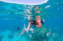 Combo Shared Experience Tour Package in Cancun - Swim & Fly 